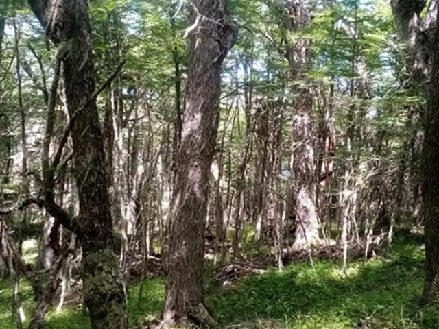Terreno en venta en Hualaihué, Los Lagos