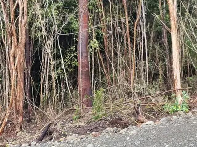 Terreno en venta en Hualaihué, Los Lagos