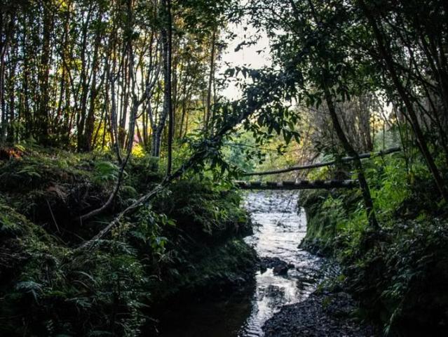 Terreno en venta en Hualaihué, Provincia de Palena