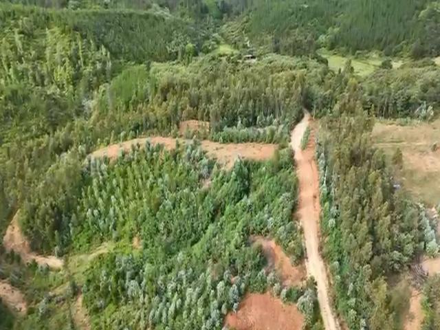 Terreno en venta en Hualqui, Biobío