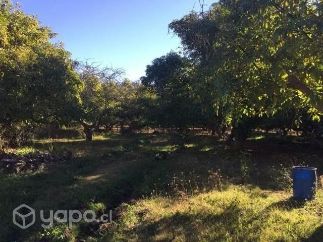 Terreno en venta en Illapel, Coquimbo