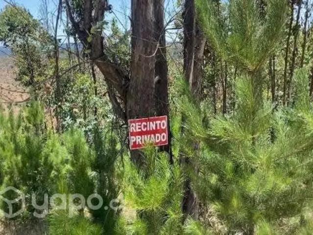 Terreno en venta en La Florida, Metropolitana