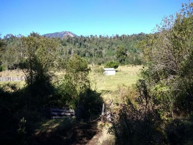 Terreno en venta en Riñinahue Bajo, Lago Ranco