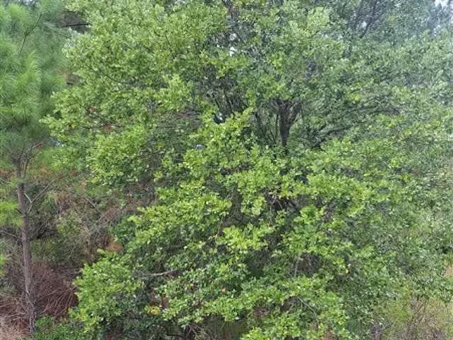 Terreno en venta en Laja, Biobío