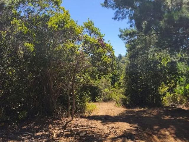 Terreno en venta en Licantén, Maule