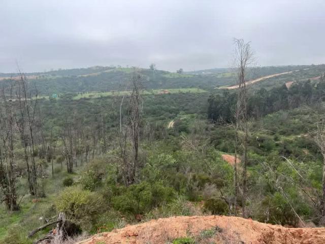 Terreno en venta en Los Eucaliptus, Quilpué