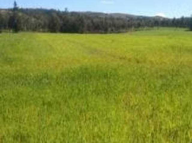 Terreno en venta en Lolol, Libertador General Bernardo O'higgins