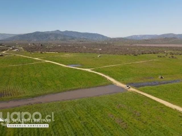 Terreno en venta en Lolol, Libertador General Bernardo O'higgins