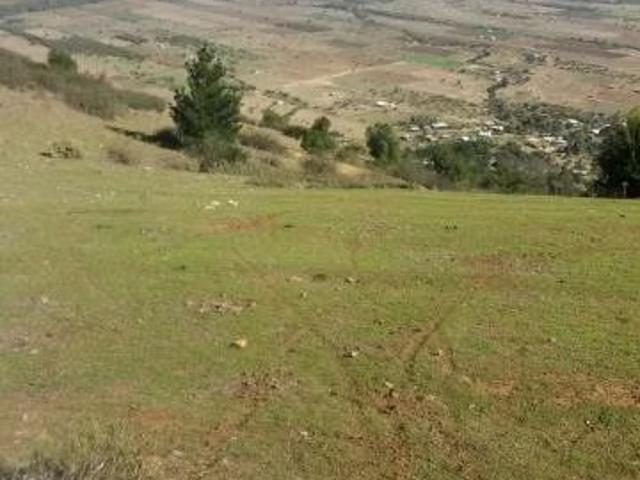 Terreno en venta en Lolol, Libertador General Bernardo O'higgins