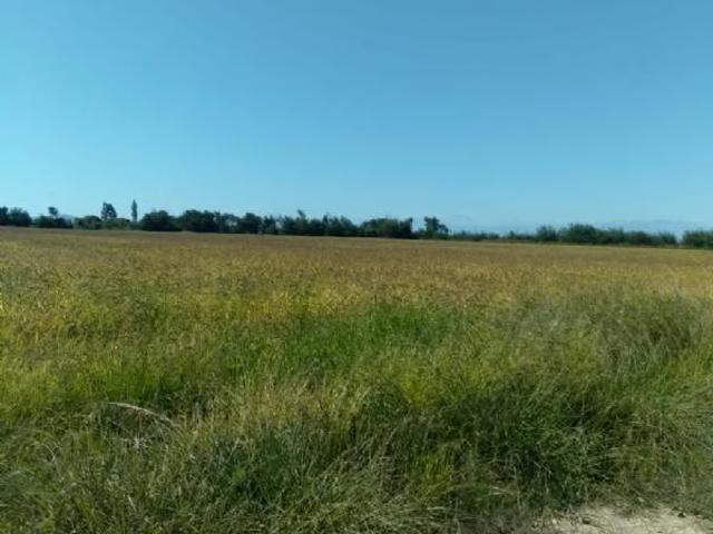 Terreno en arriendo en Longaví, Maule