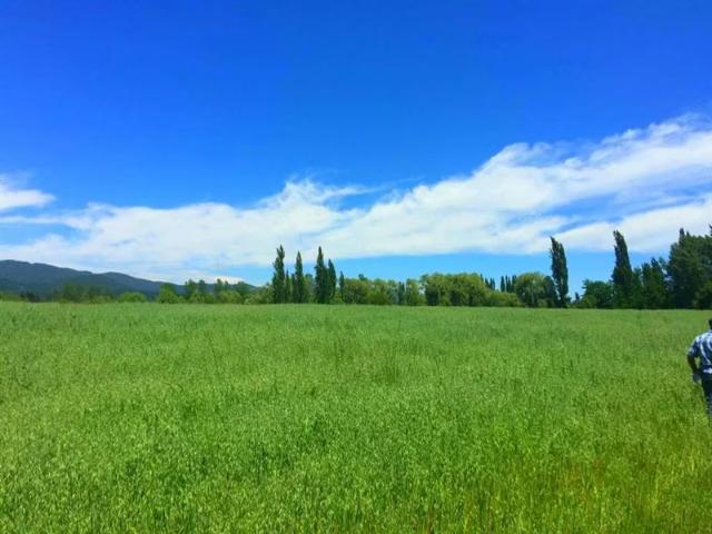 Terreno en venta en Longaví, Maule