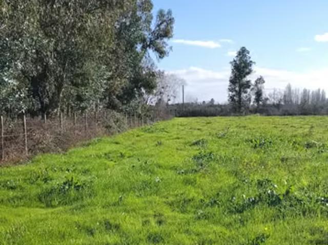 Terreno en venta en Longaví, Provincia de Linares