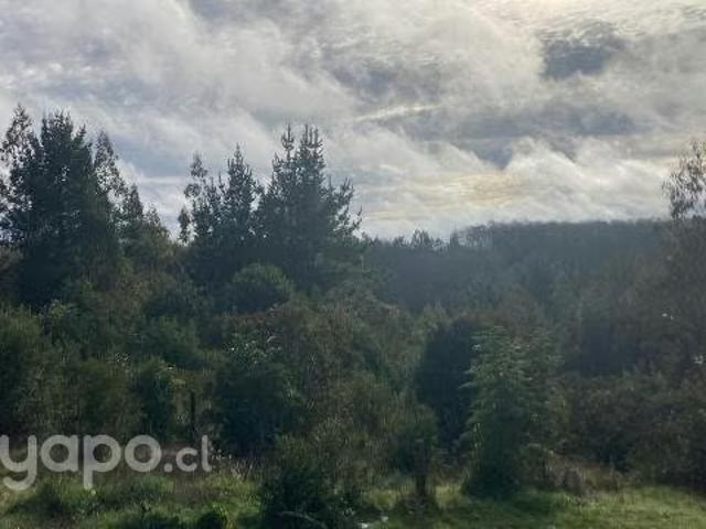 Terreno en venta en Los Álamos, Biobío