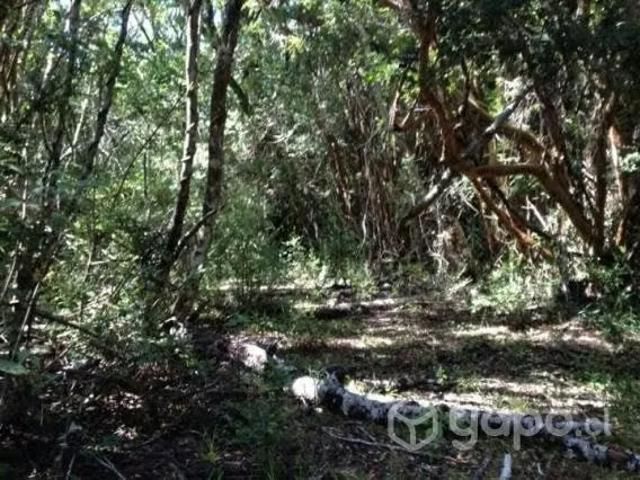 Terreno en venta en Los Álamos, Biobío
