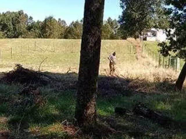 Terreno en venta en Los Lagos, Los Ríos