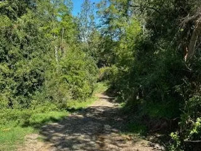 Terreno en venta en Los Lagos, Los Ríos