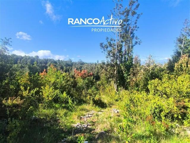 Terreno en venta en Los Álamos, Biobío