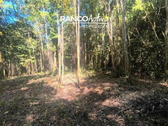 Terreno en venta en Los Álamos, Biobío