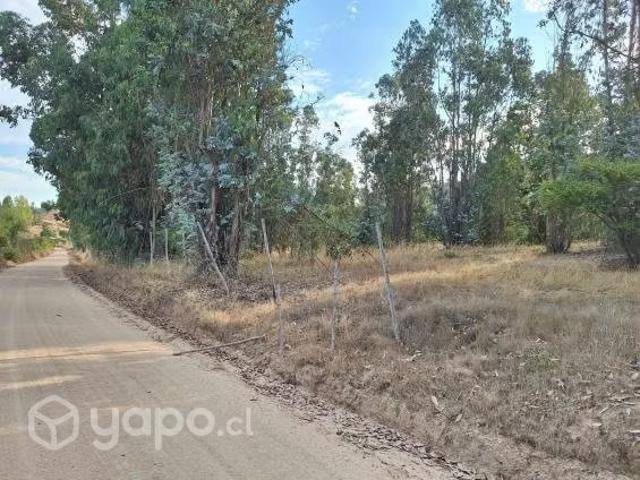 Terreno en venta en Macul, Metropolitana