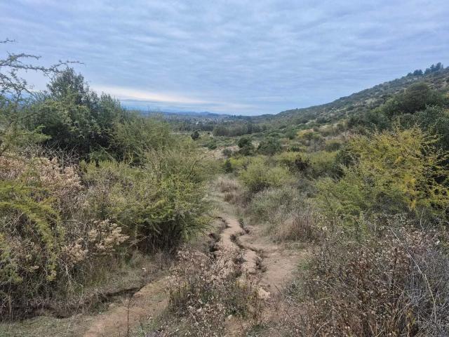Terreno en venta en Maule