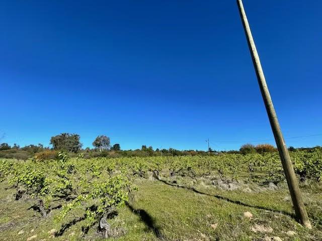Terreno en venta en Maule