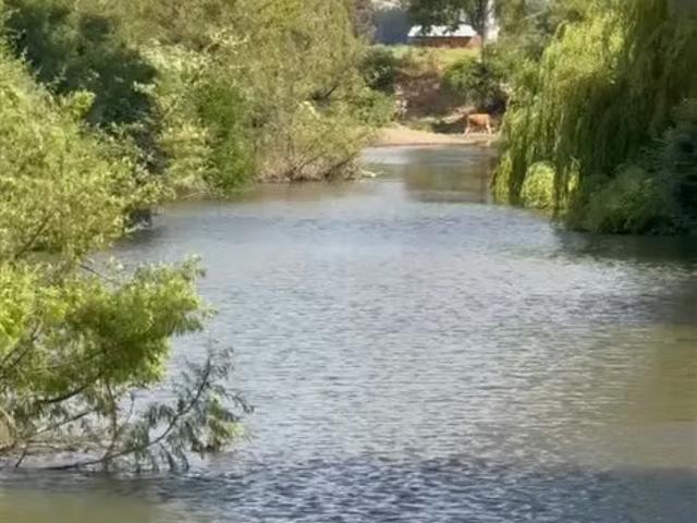 Terreno en venta en Maule