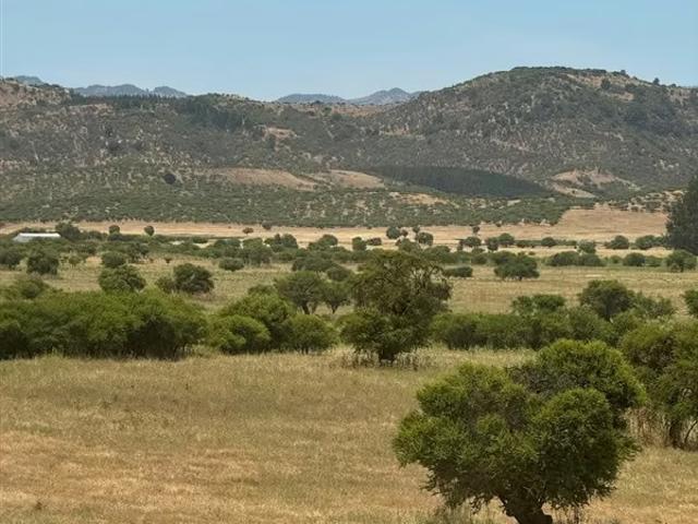 Terreno en venta en Maule