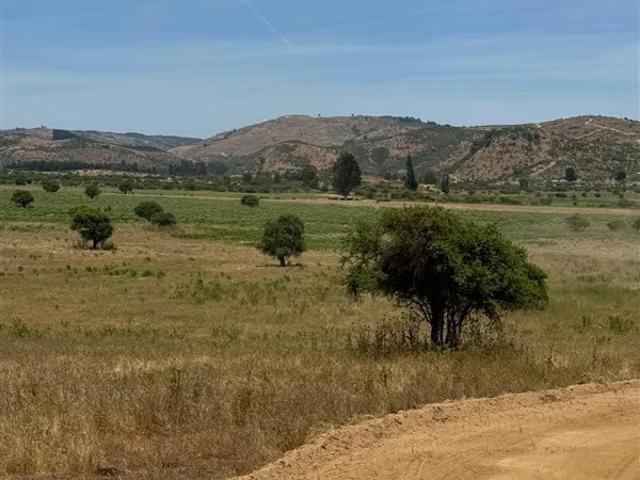 Terreno en venta en Maule