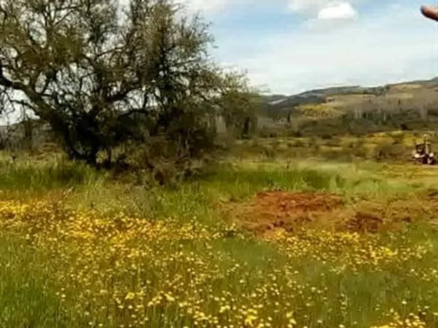 Terreno en arriendo en San Javier, Maule