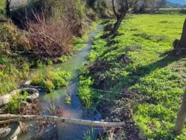 Terreno en venta en Maule