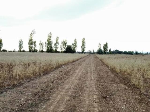 Terreno en venta en Maule