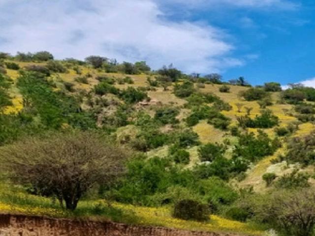 Terreno en venta en Putre, Metropolitana