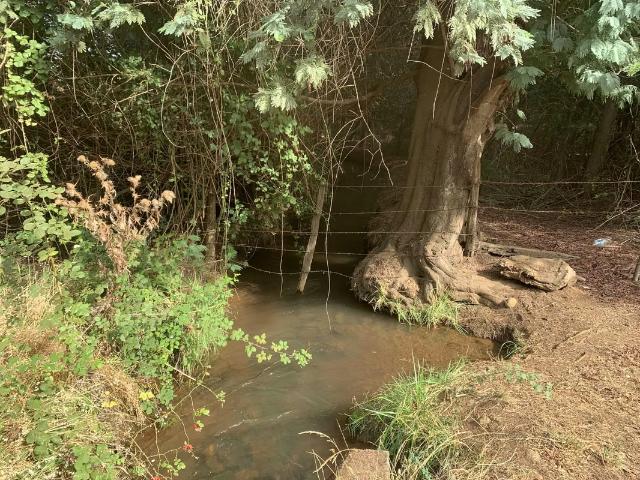 Terreno en arriendo en Mulchén, Biobío