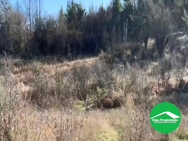 Terreno en venta en Nacimiento, Biobío