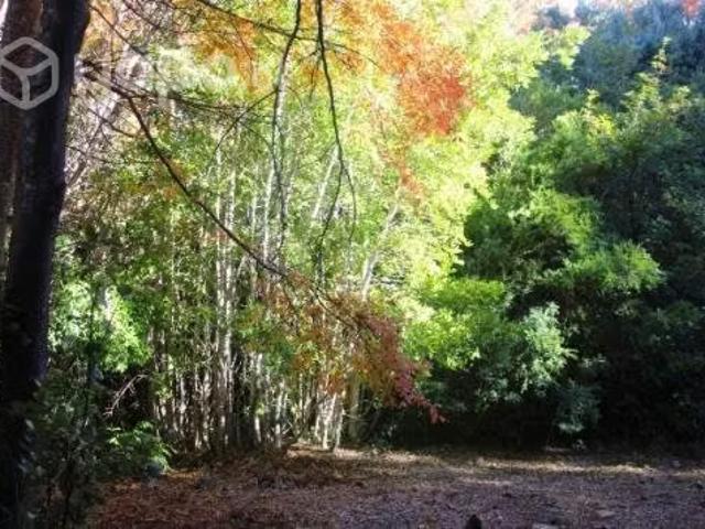 Terreno en venta en Nacimiento, Biobío