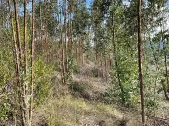 Terreno en venta en Nacimiento, Biobío