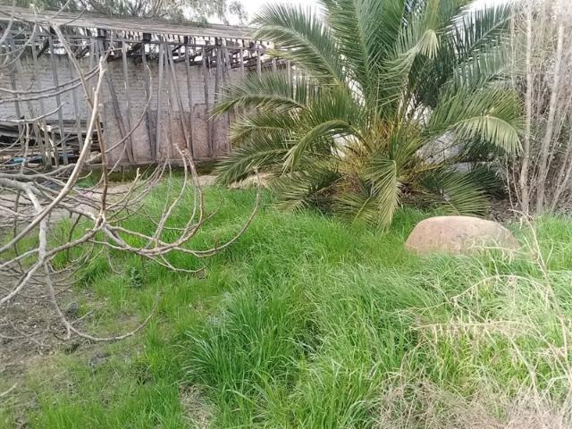 Terreno en arriendo en Ñuble