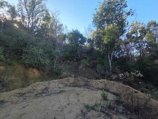 Terreno en venta en Olivar, Libertador General Bernardo O'higgins