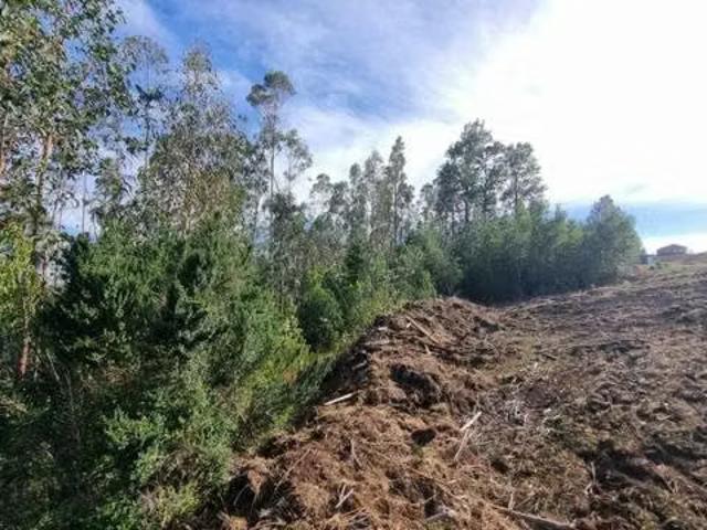 Terreno en venta en Osorno, Los Lagos
