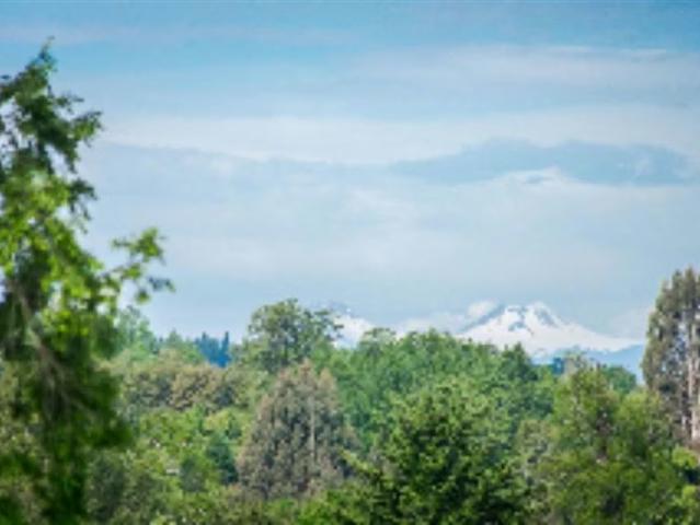 Terreno en venta en Colonia Reumén, Paillaco