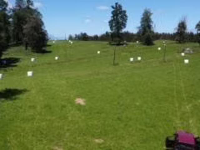 Terreno en venta en Paillaco, Provincia de Valdivia