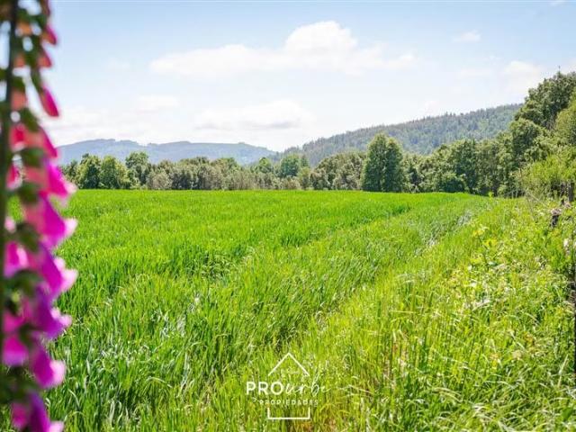 Terreno en venta en Paillaco, Provincia de Valdivia
