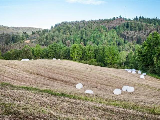 Terreno en venta en Paillaco, Provincia de Valdivia