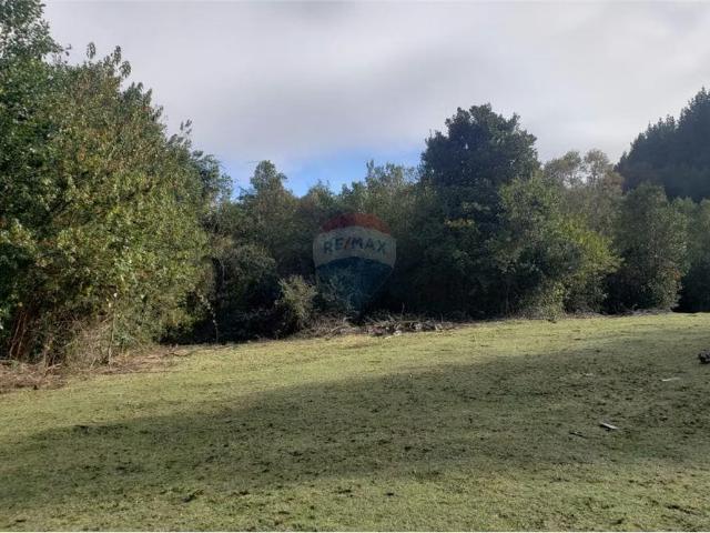 Terreno en venta en Los Lagos, Provincia de Valdivia