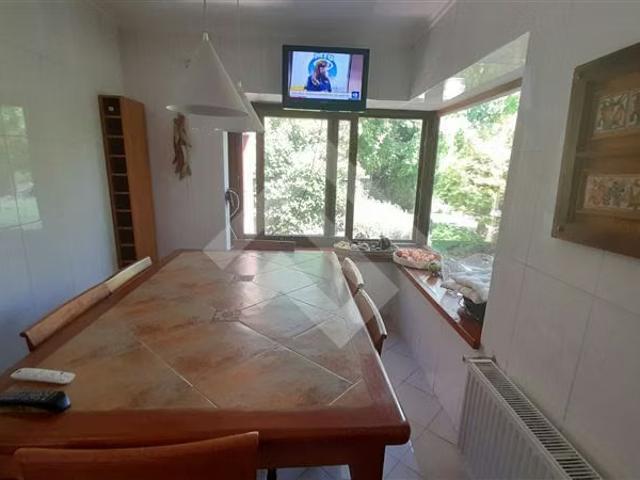 Terreno en arriendo en Paine, Metropolitana