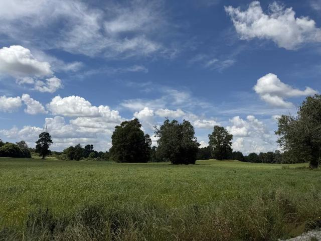 Terreno en venta en Panguipulli, Los Ríos