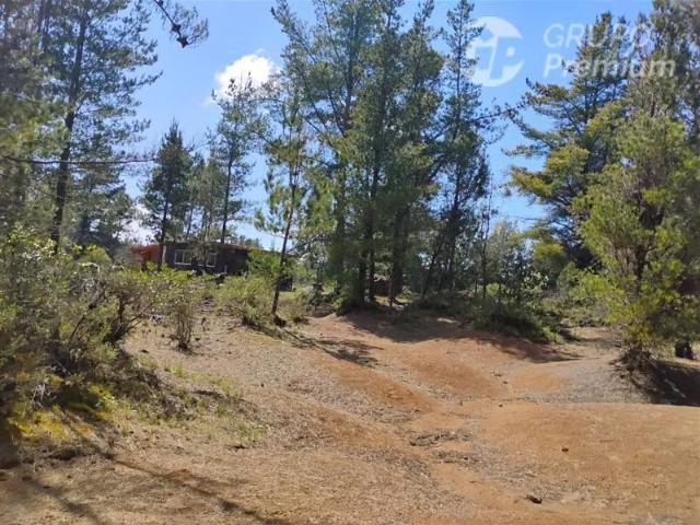 Terreno en arriendo en Parral, Maule