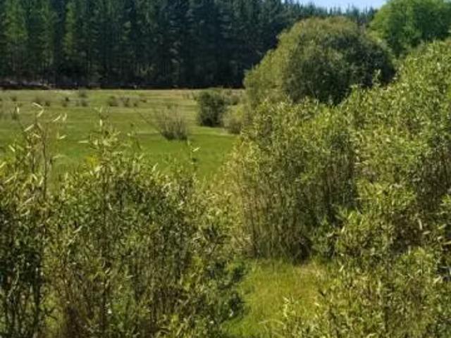Terreno en arriendo en Parral, Maule