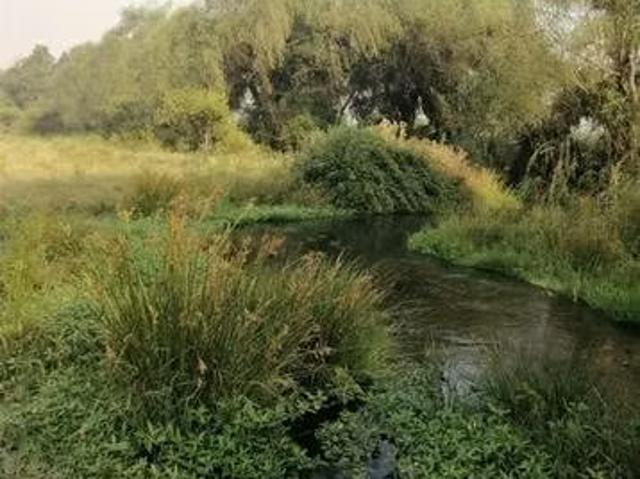 Terreno en venta en Parral, Maule