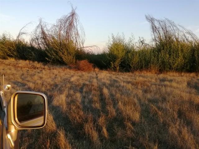 Terreno en venta en Parral, Maule